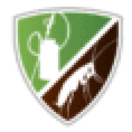 custom-img