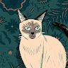 custom-img