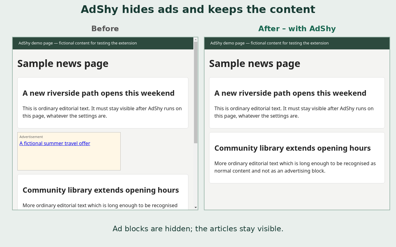 Example Image