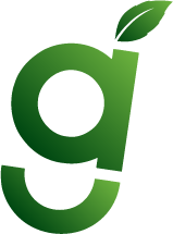Example Image