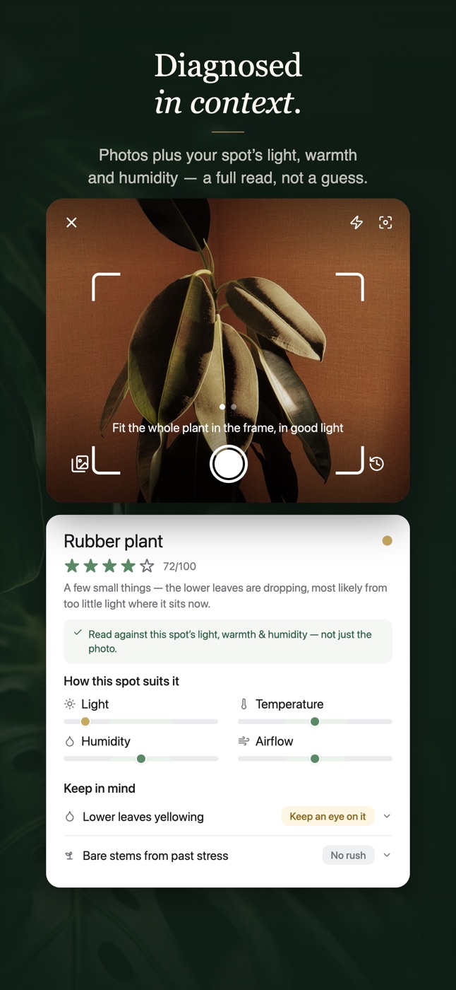 Example Image