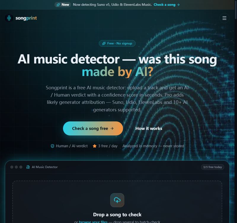 Example Image