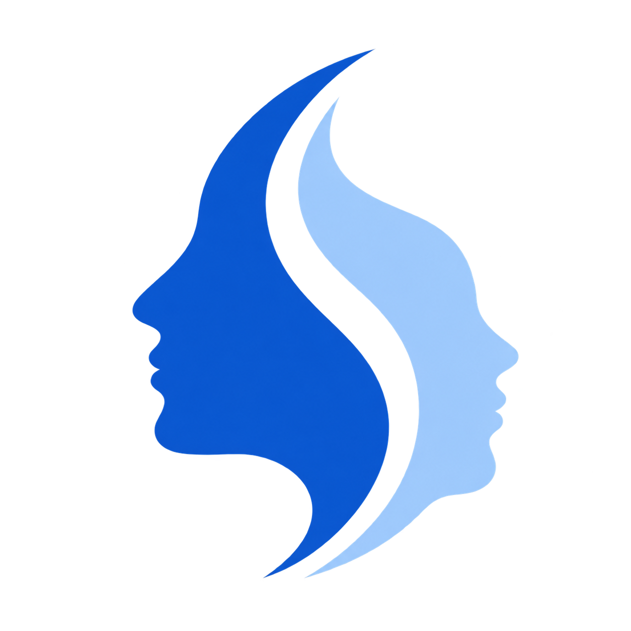 Example Image