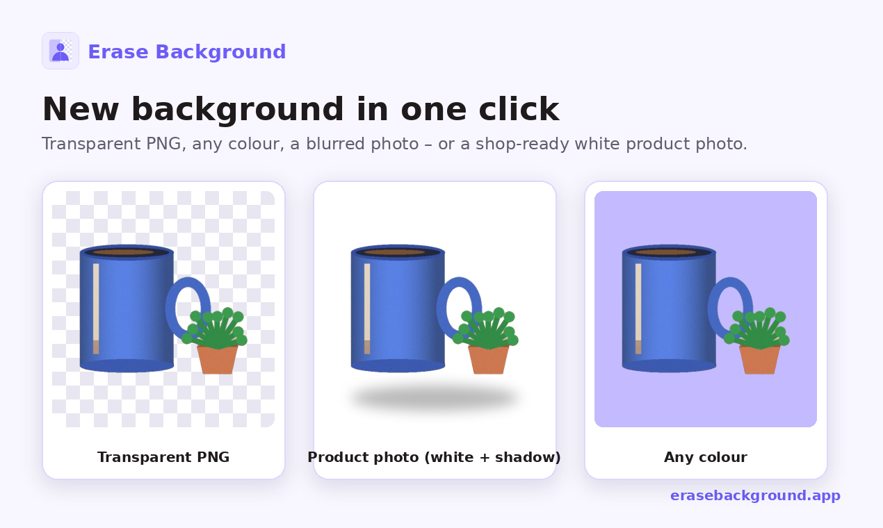 Example Image