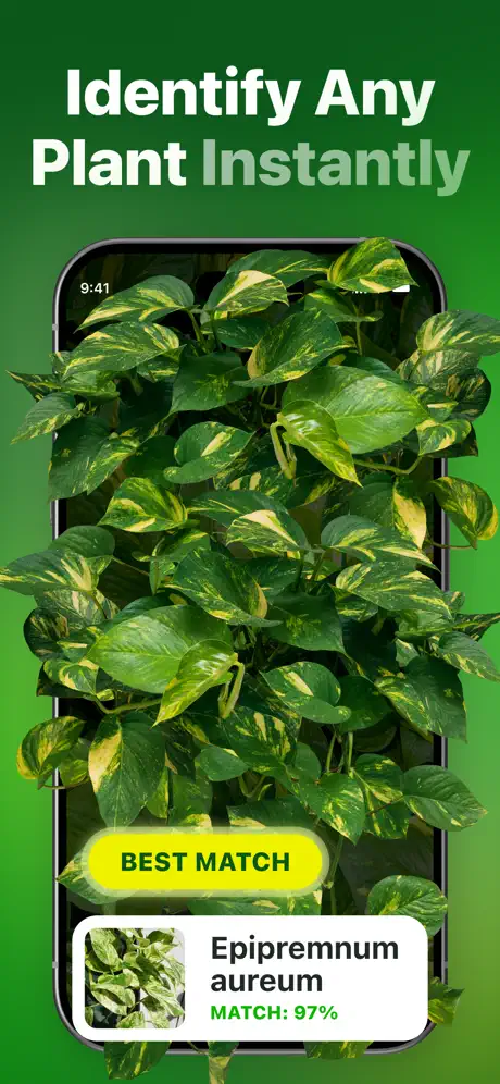 Example Image
