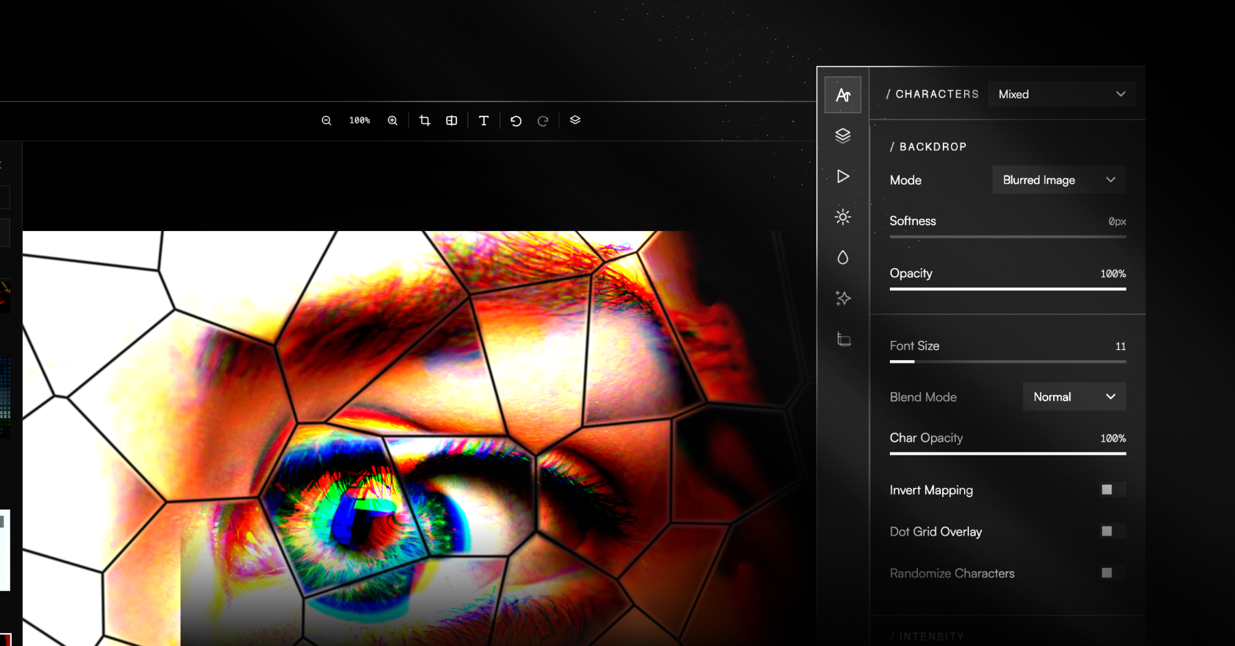 Example Image