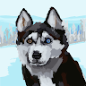 custom-img