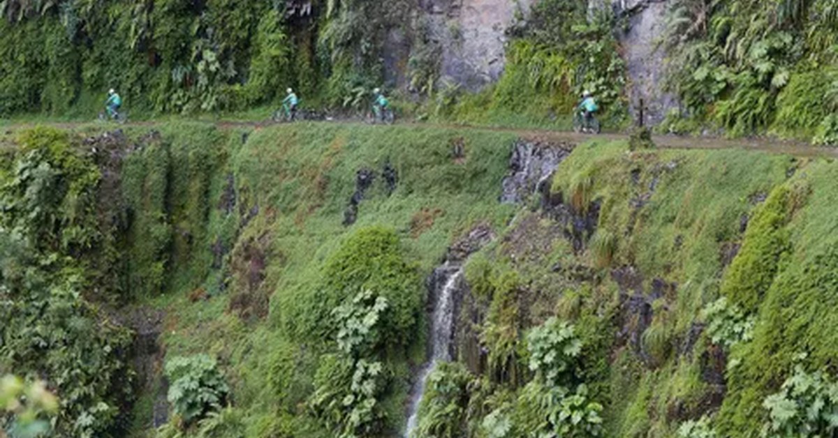 Example Image
