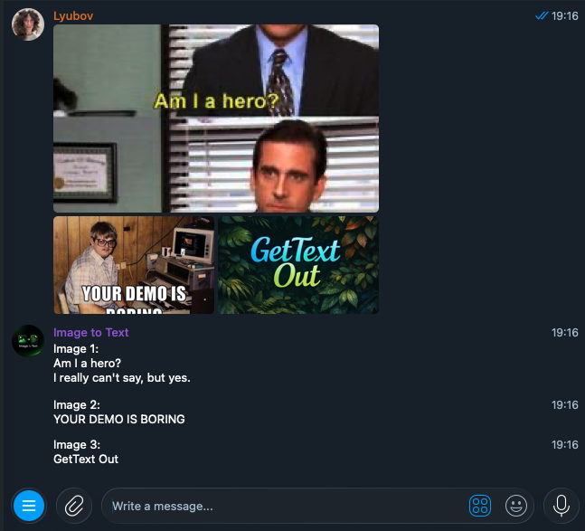 Example Image