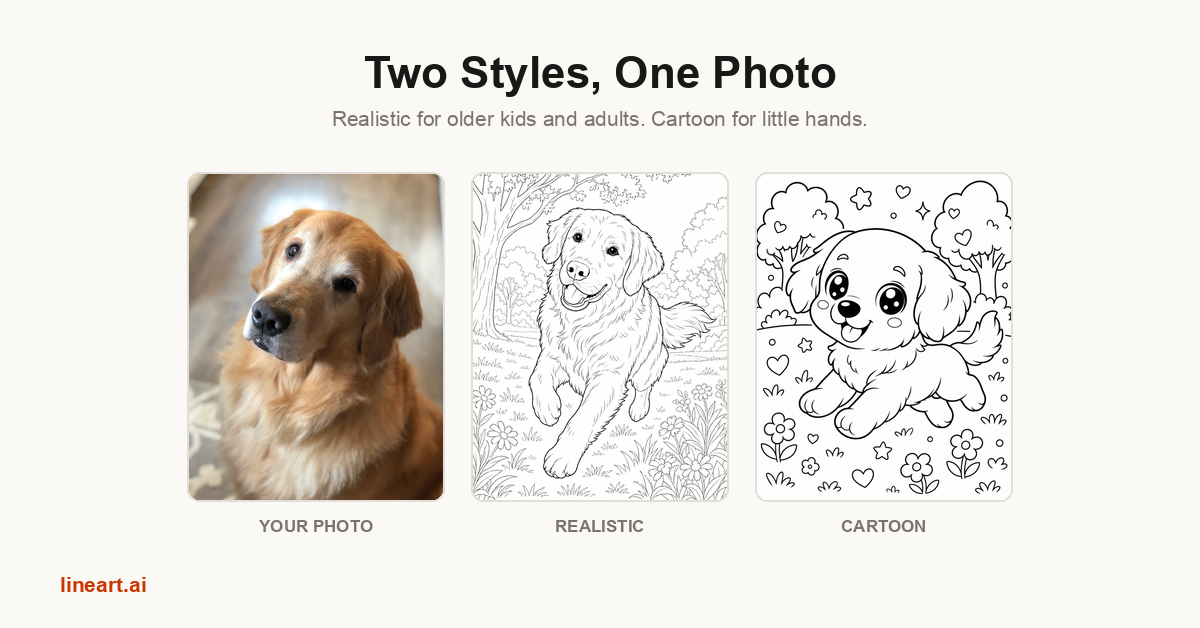 Example Image