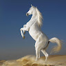 custom-img