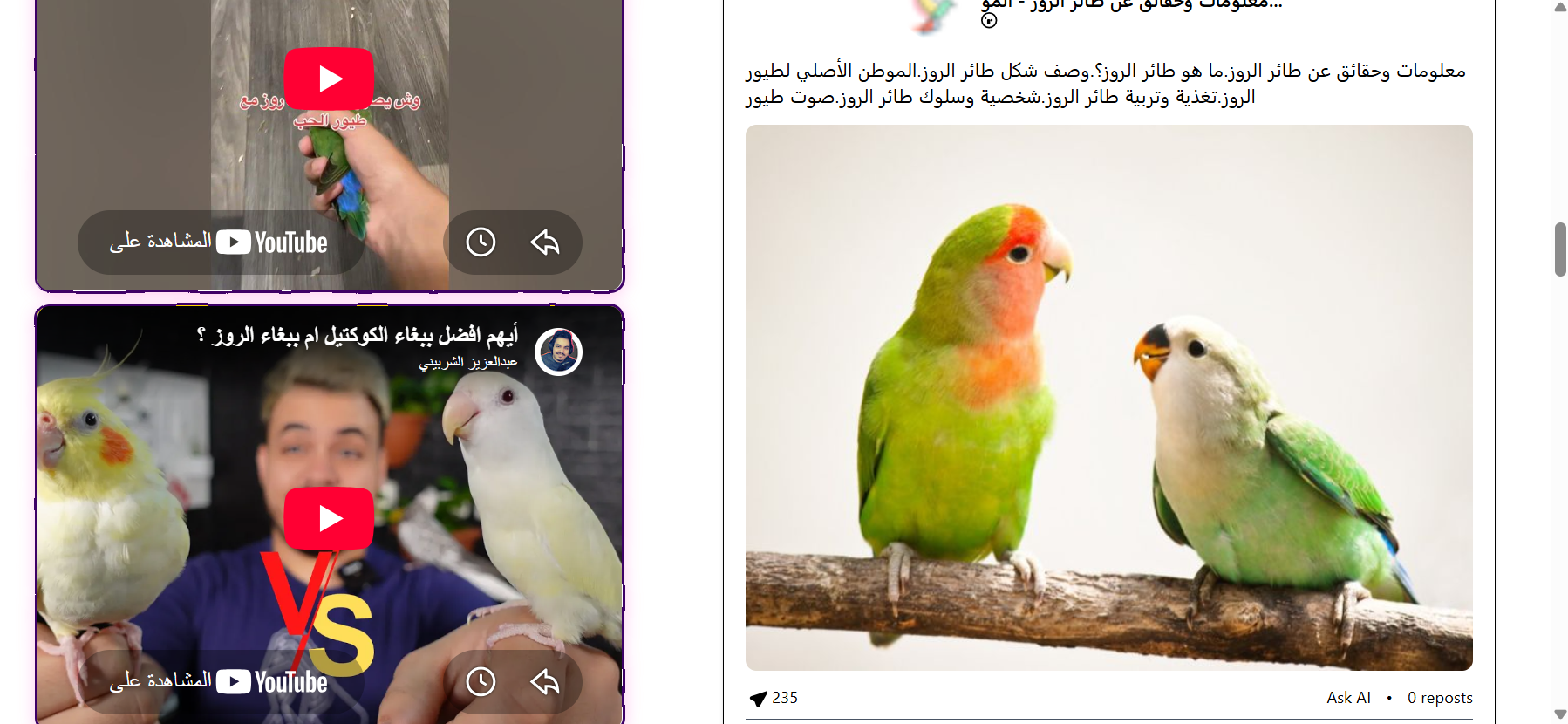 Example Image