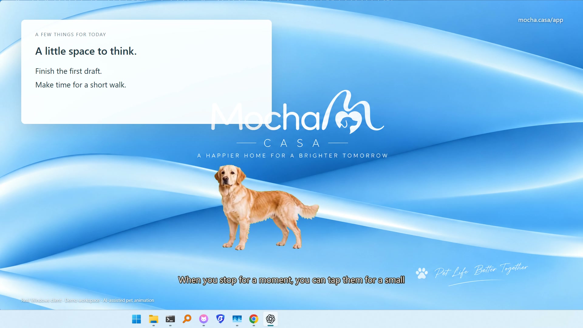 Example Image