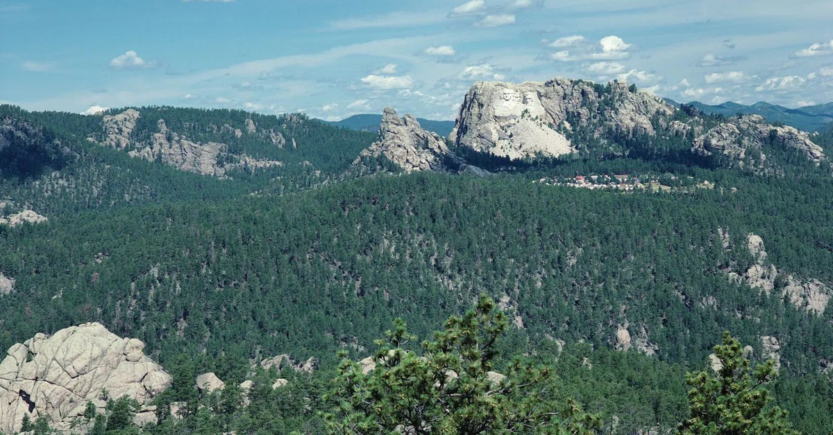 Example Image