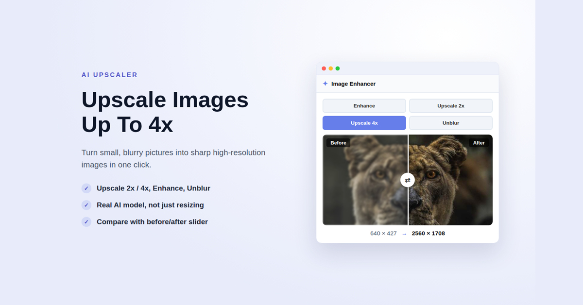 Example Image