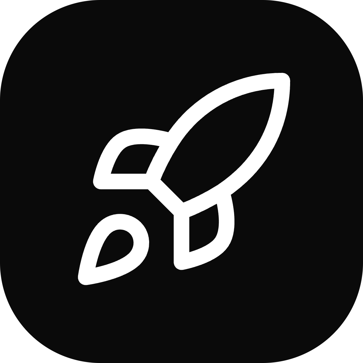 Example Image