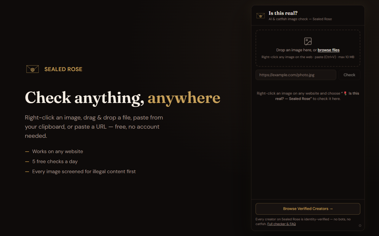 Example Image