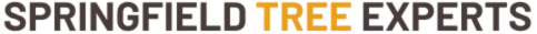 Example Image