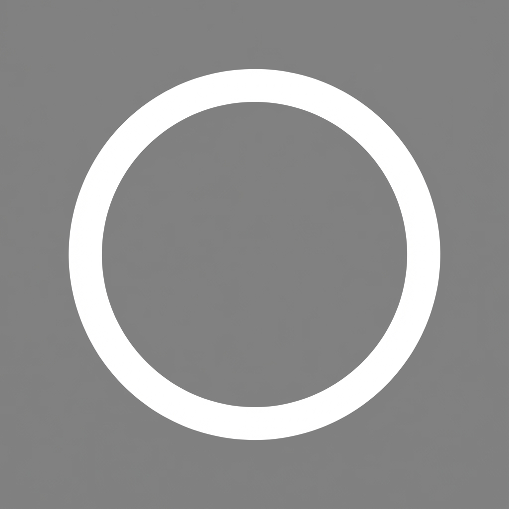 Example Image