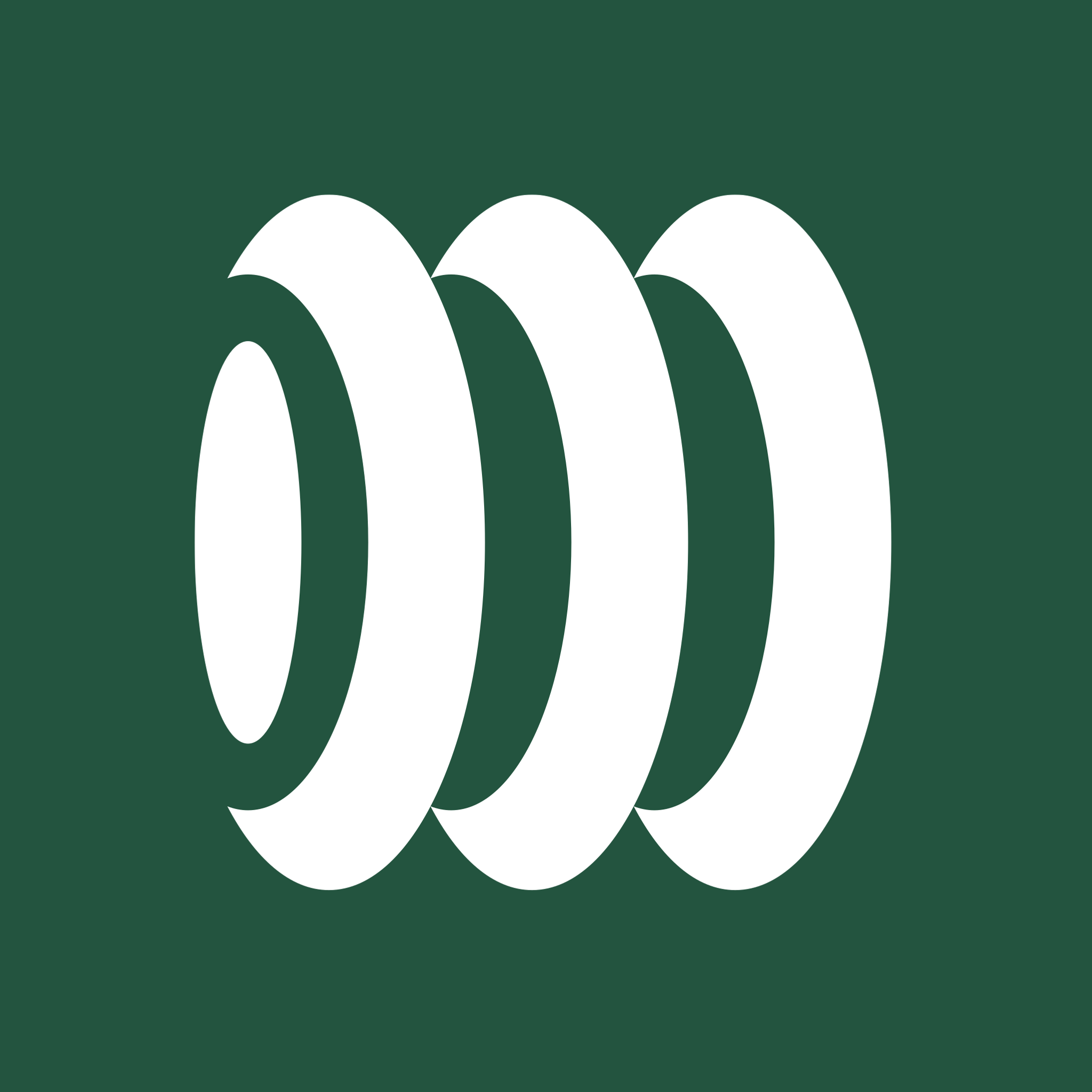 Example Image