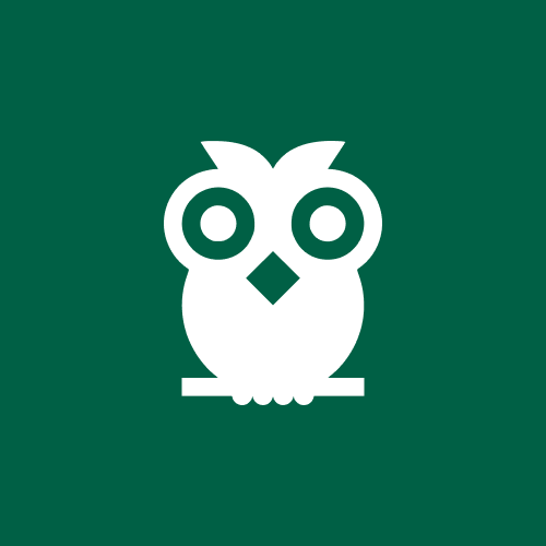 Example Image