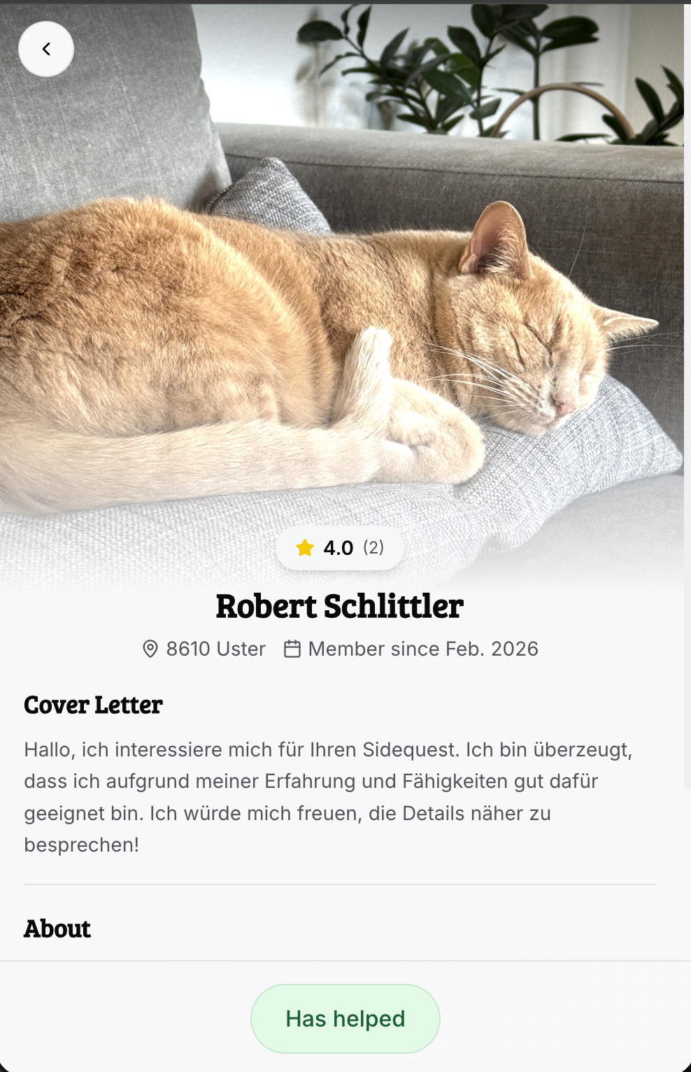 Example Image
