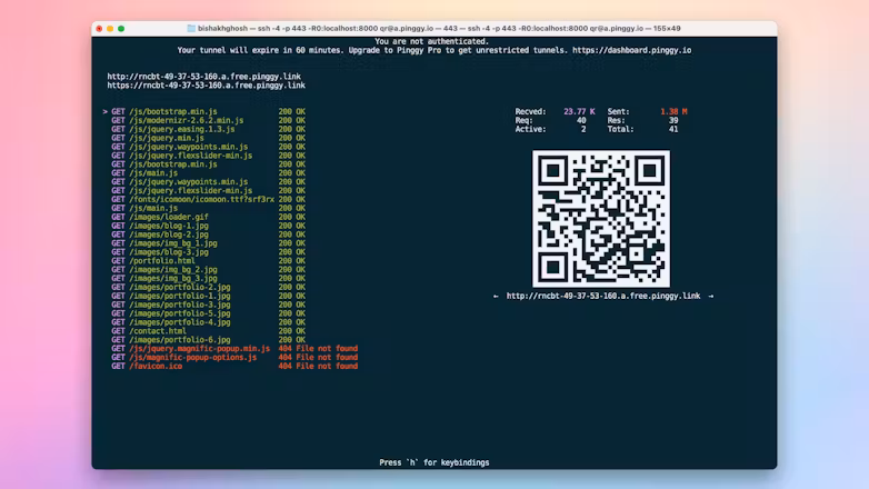 Example Image