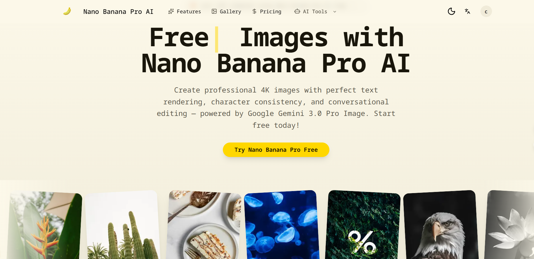 Example Image
