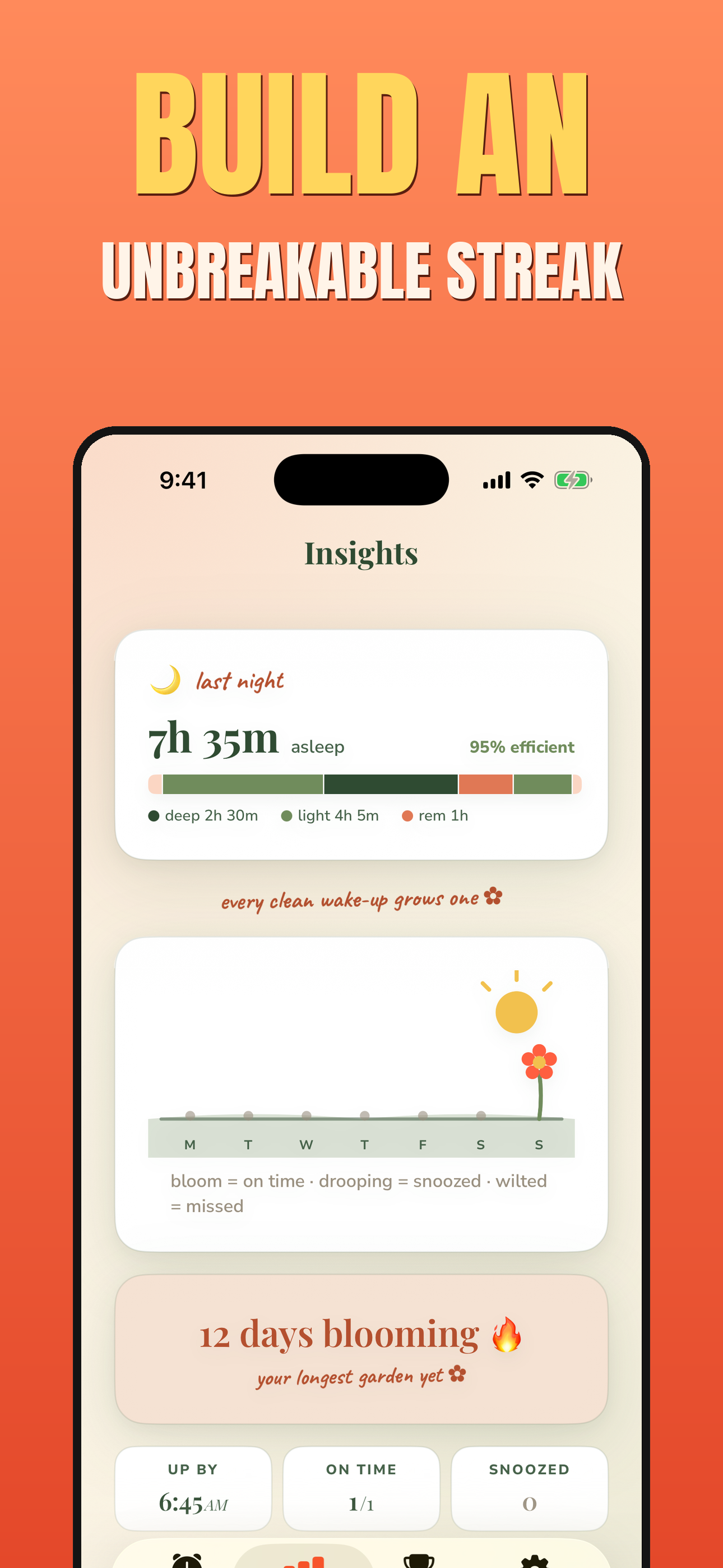 Example Image