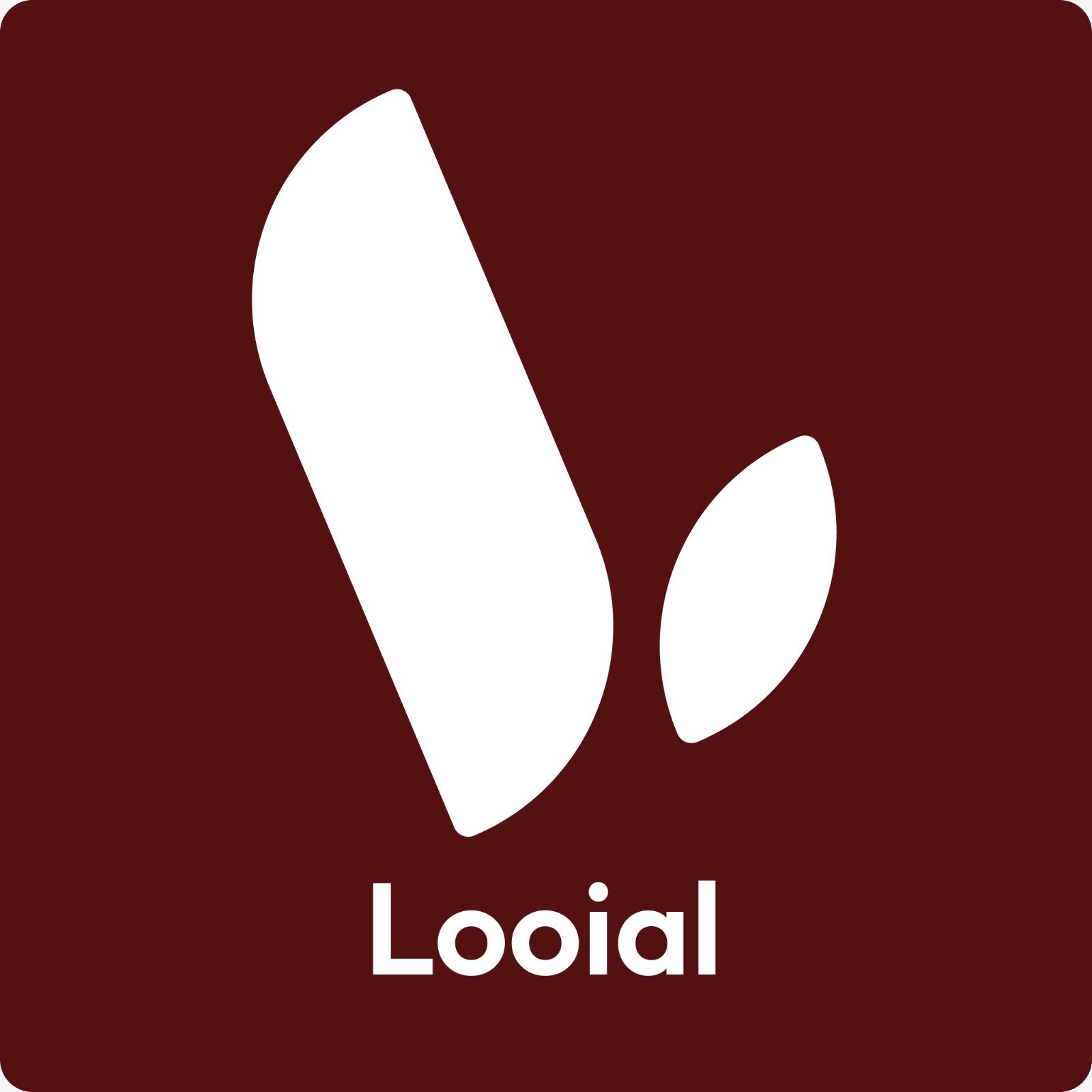 Example Image