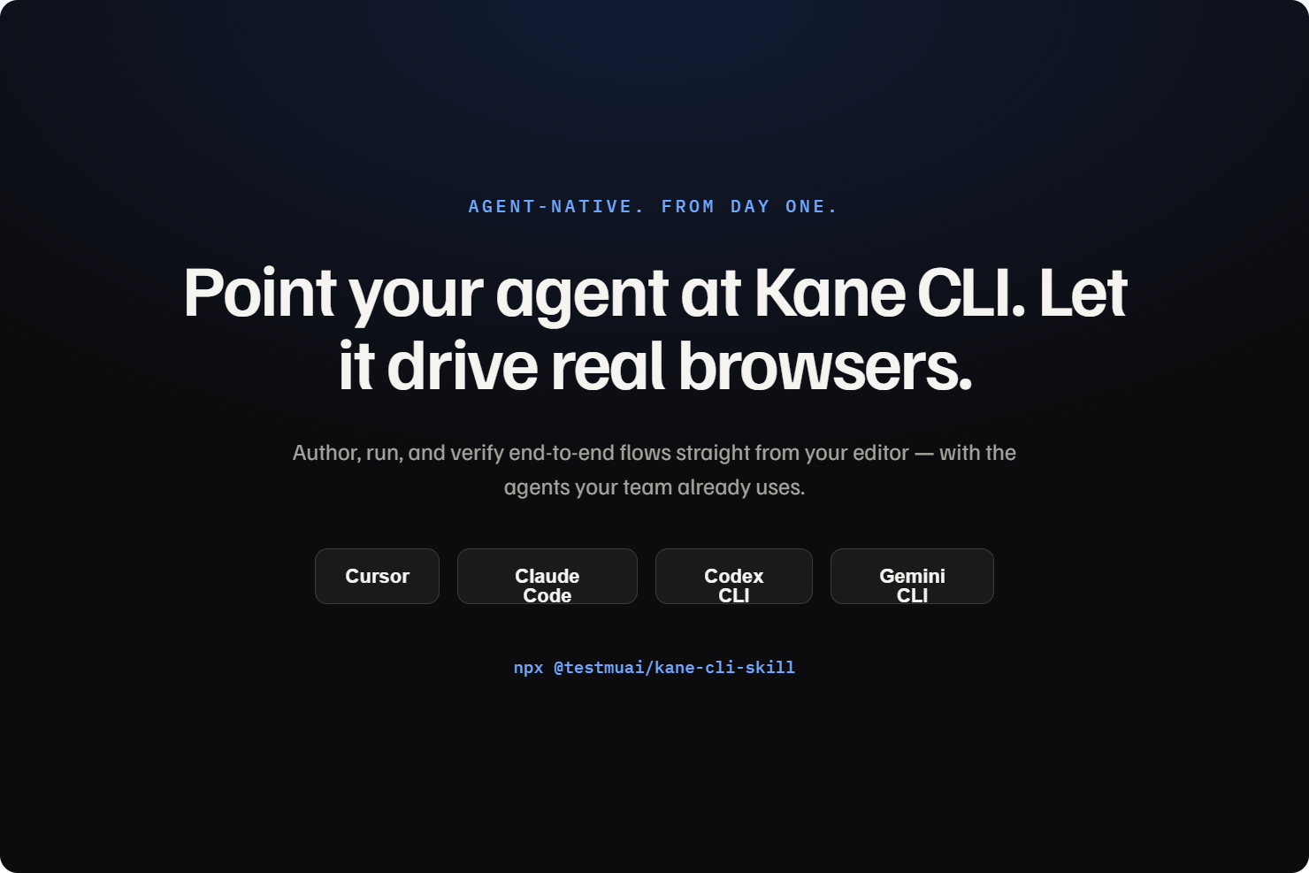 Example Image
