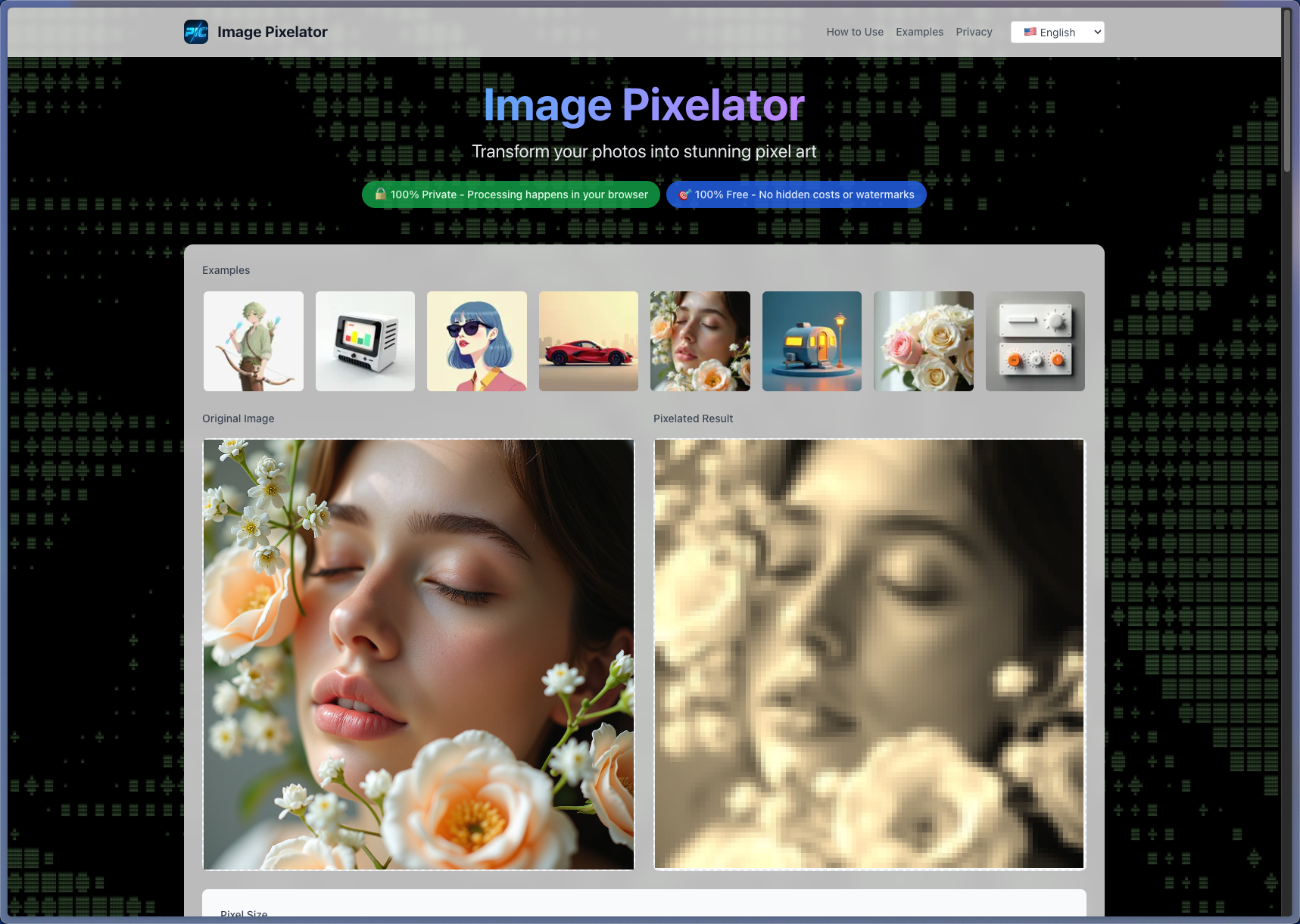 Example Image