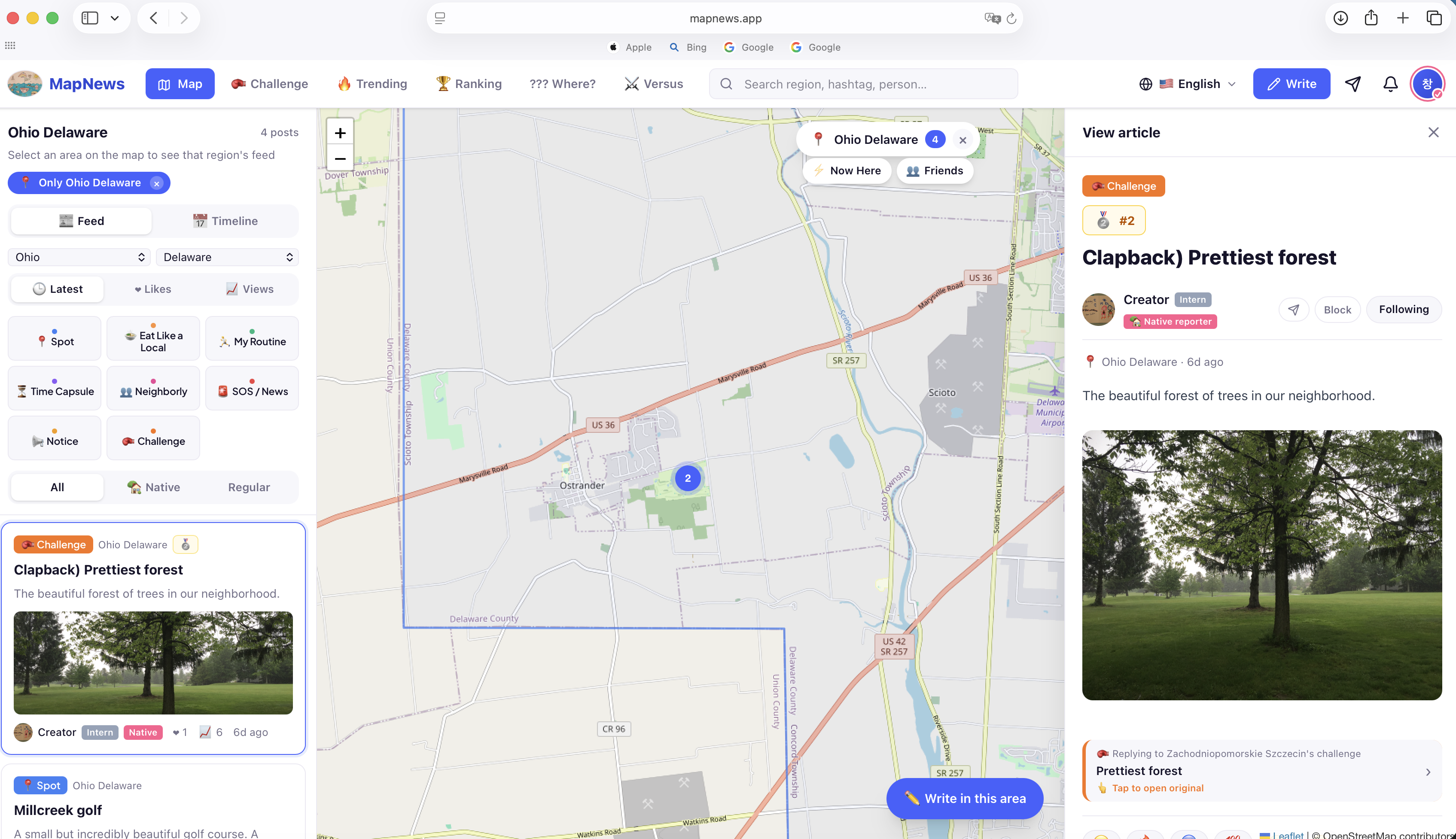 Example Image