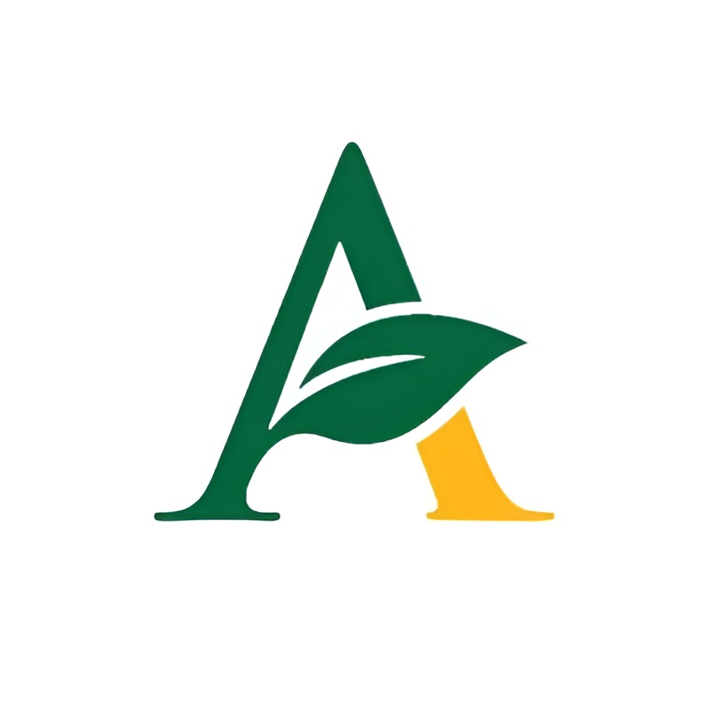 Company