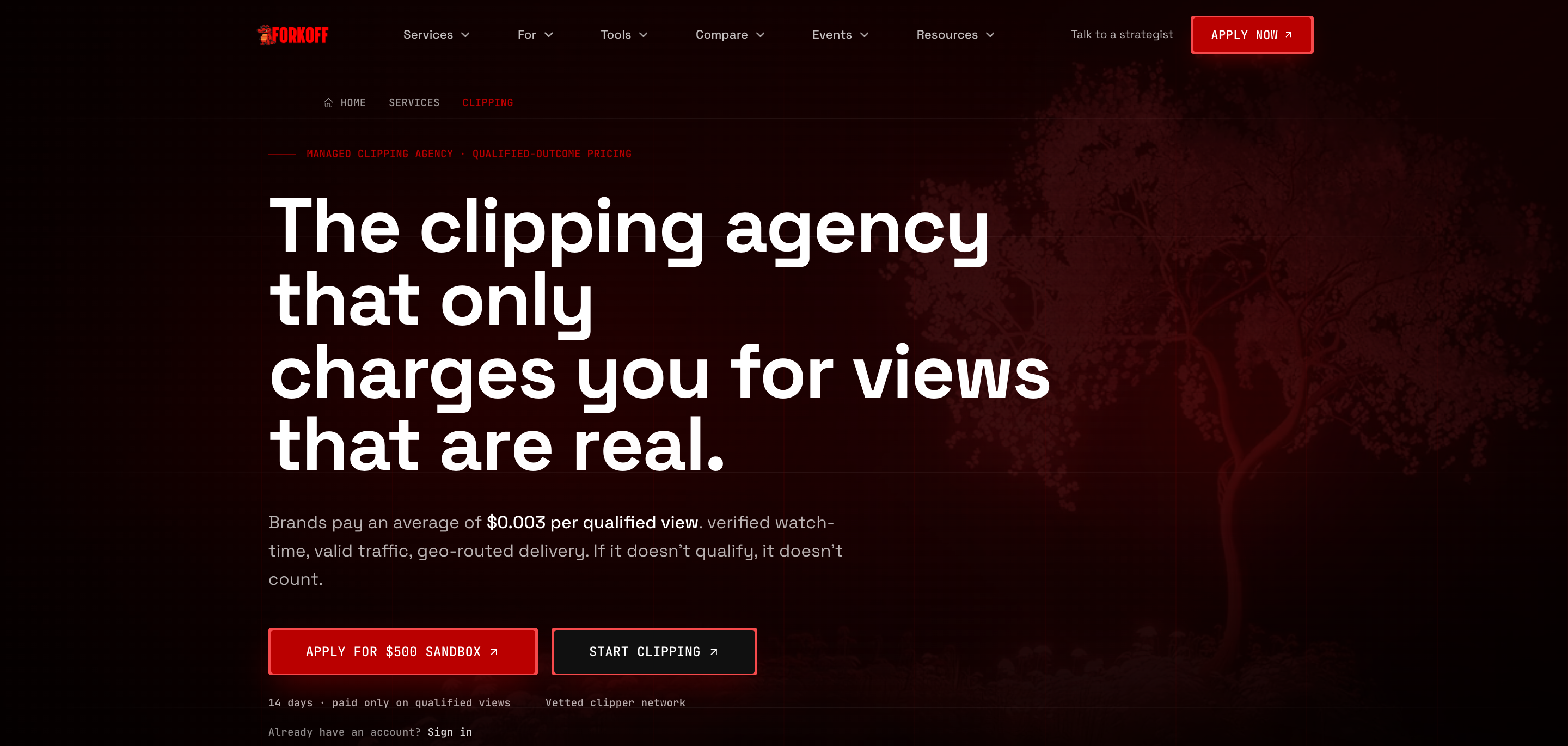 Example Image
