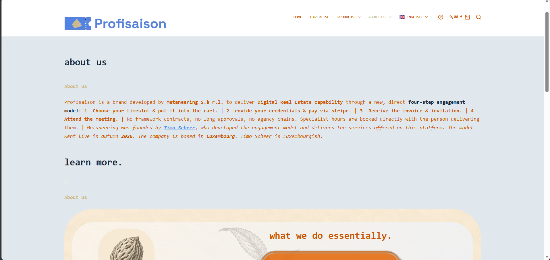 Example Image