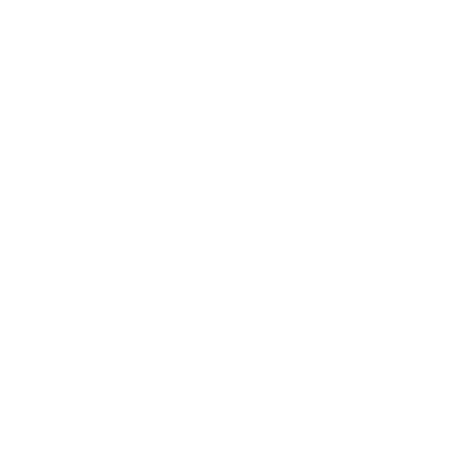 Example Image