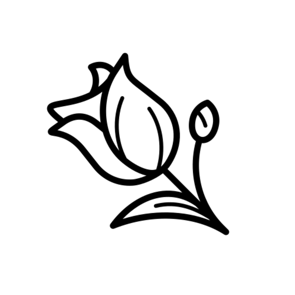 Example Image